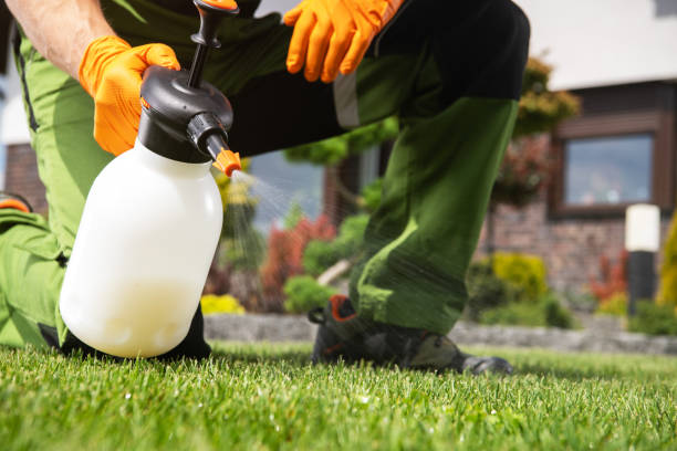 Best Wasp Removal Services  in Union Beach, NJ