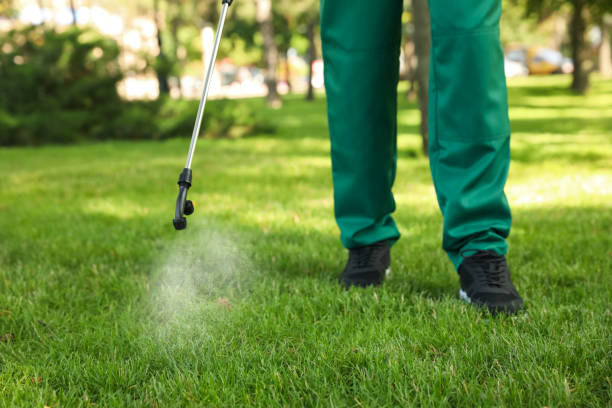 Best Best Pest Control Companies  in Union Beach, NJ